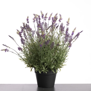 Af Lavender Pot H58cm Purple