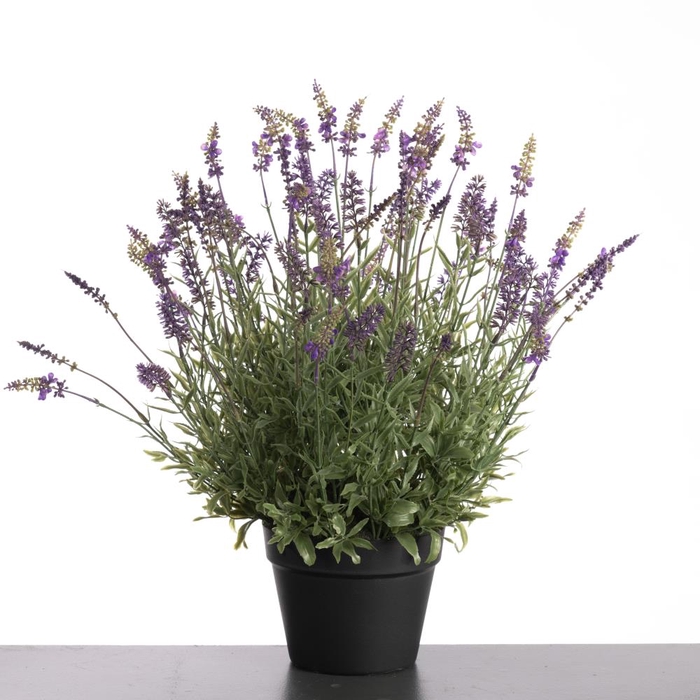 <h4>Af Lavender Pot H58cm Purple</h4>