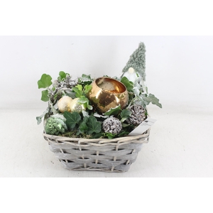 arr2 PL - Mand 4kant hedera wax gold