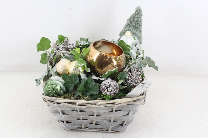 <h4>arr2 PL - Mand 4kant hedera wax gold</h4>