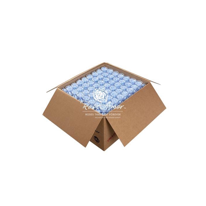 <h4>Xl Bulk Blu89</h4>