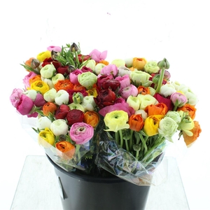 Ran El Mix In Bunch Extra