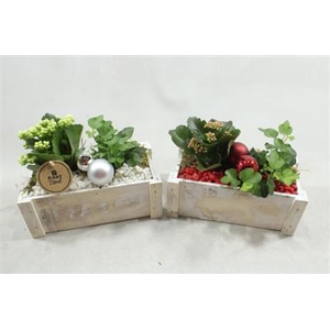 0219 Hout Wit Kistje