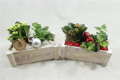 <h4>0219 Hout Wit Kistje</h4>