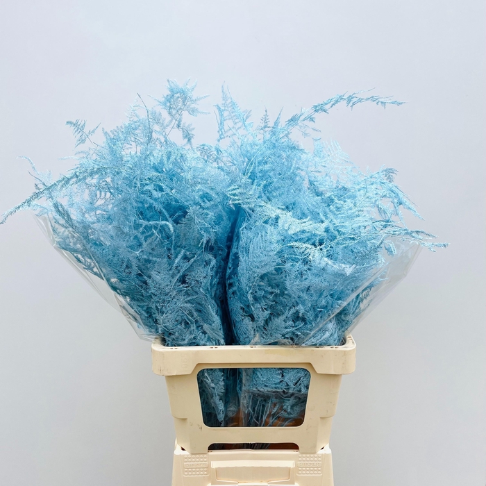 <h4>ASP OV KLB H%</h4>