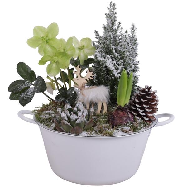 <h4>Winter Arr. Outdoor Zinc Bowl with Handles White Ø26cm 4PP</h4>