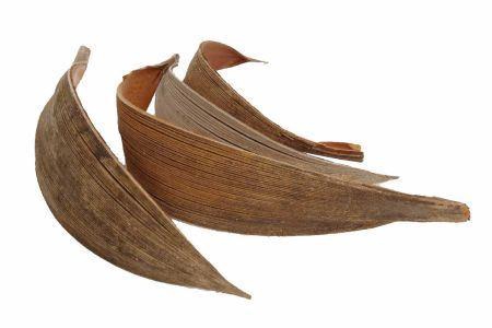 <h4>Basic Coco Medium 10pc Per Bag</h4>