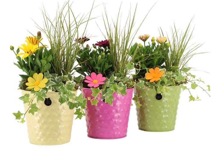 <h4>31676: Outdoor summer arrangement</h4>