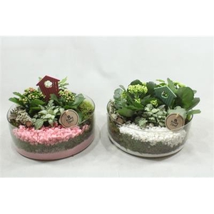 5099 Cilinder Roze/wit