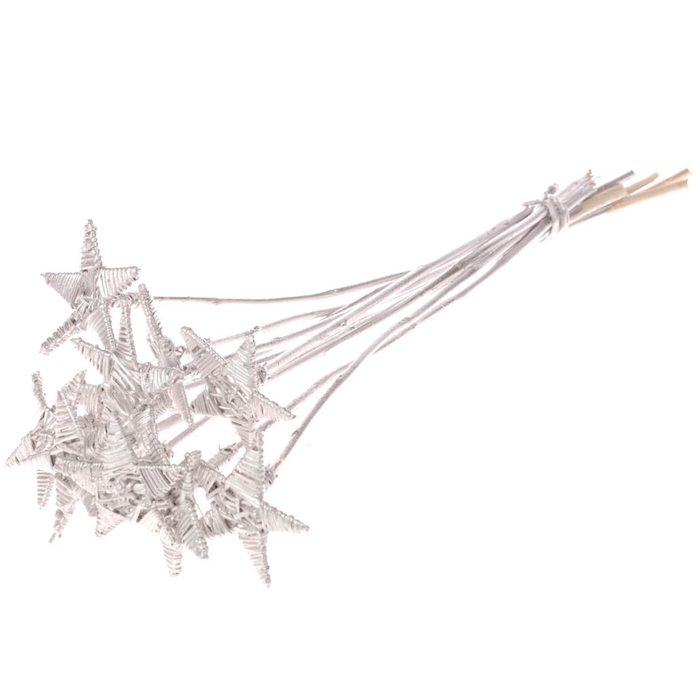<h4>Lata St O/s Fl Silver</h4>