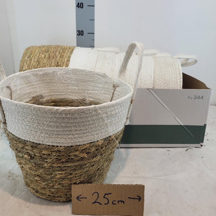 <h4>Mandwerk H%</h4>