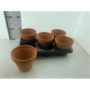 HUIS EN TUINDECO -TERRA COTTA-POTJES  SALE !!