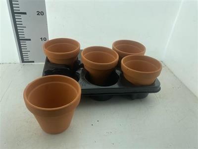 <h4>HUIS EN TUINDECO -TERRA COTTA-POTJES  SALE !!</h4>