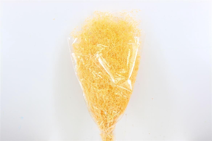 <h4>Pres Gyps Mini Soft Yellow Bunch</h4>