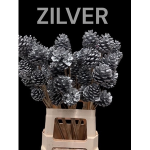 Dennenappel zilver