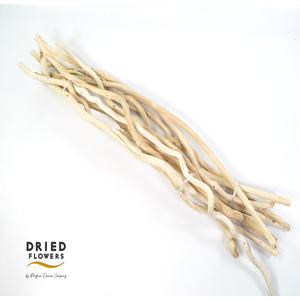 Dried Bleached Dula Stick