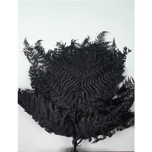 GESTABILISEERD VAREN ZWART