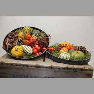 Arr Sierfruit In Zinken Schaal