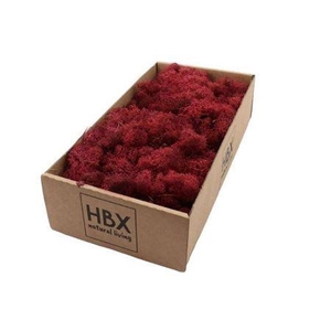 MOSS REINDEER MOSS 500GR BORDEAUX