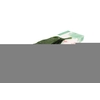 Aspidistra 60 Cm SM WBE