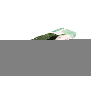 Aspidistra 60 Cm SM WBE