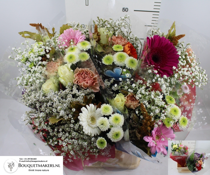 <h4>GEM BOEKET OV</h4>