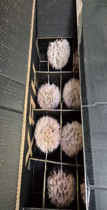 <h4>Y PRES PUSTE FLOWER baby oranje</h4>