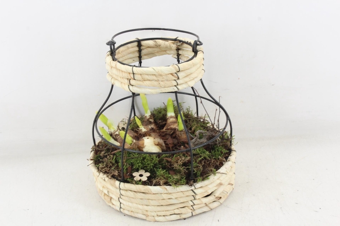 <h4>arr4 Narcis PL - Mand metaal windlicht</h4>