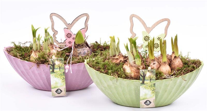 <h4>Kunstof kano groen/roze 24x10cm</h4>