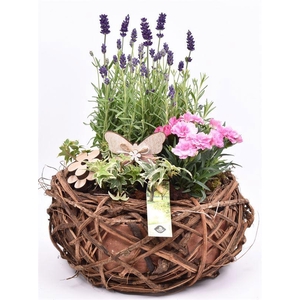 Natuur krans br. 26cm