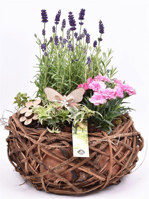 <h4>Natuur krans br. 26cm</h4>