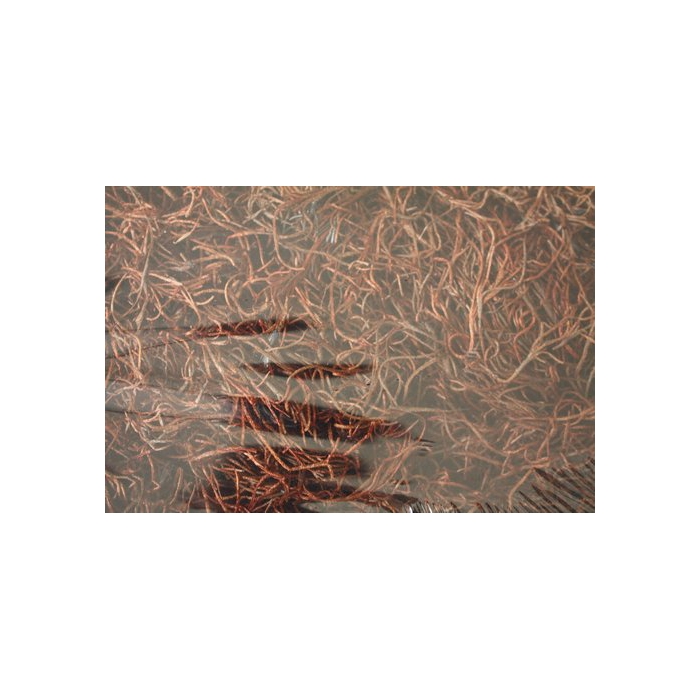 <h4>FORESTMOS BRUIN</h4>