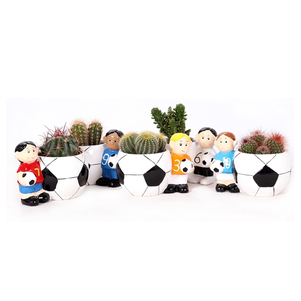 <h4>Cactus elftal voetbal 8,5 cm</h4>