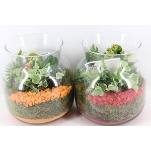 Arr2 Pl - Glas Candy X2 - Rood/oranje