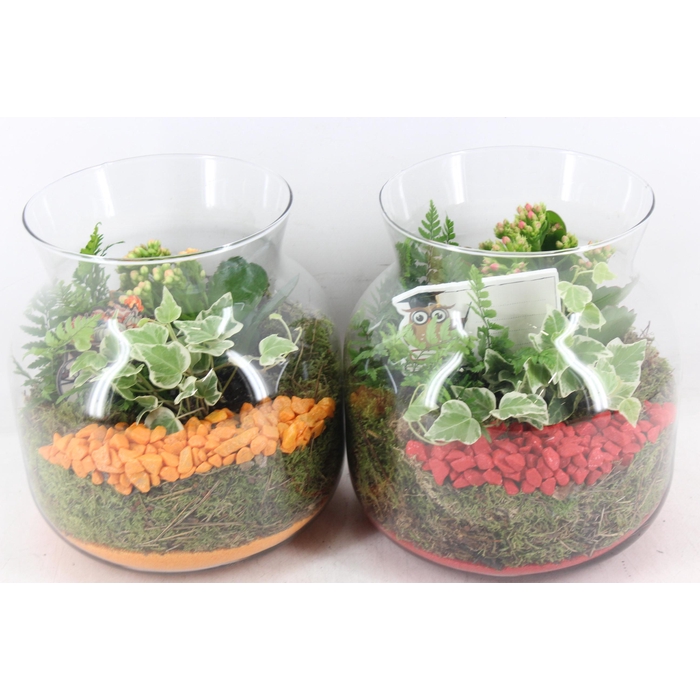 <h4>Arr2 Pl - Glas Candy X2 - Rood/oranje</h4>