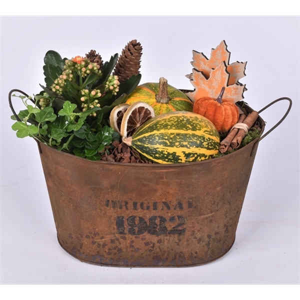 <h4>Arrangementen Sierfruit</h4>