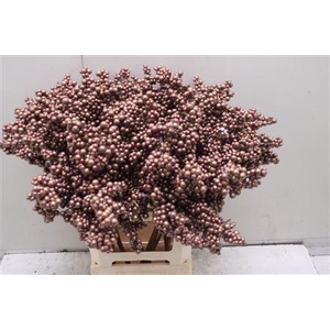 Bes Op Stok Copper Metallic