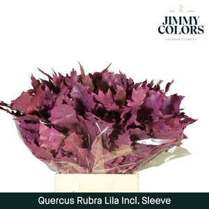 Quercus Rubra Sleeve L60 Lila