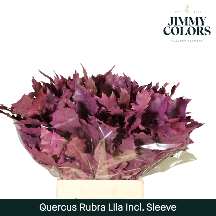 <h4>Quercus Rubra sleeve L60 Lila</h4>