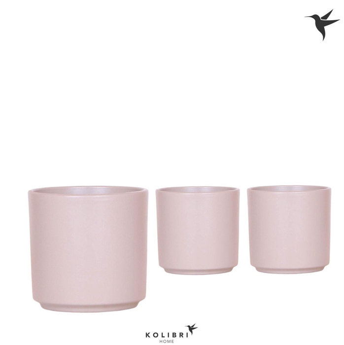 <h4>Keramische pot</h4>