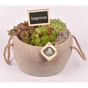 Cement pot met touw gy 20cm