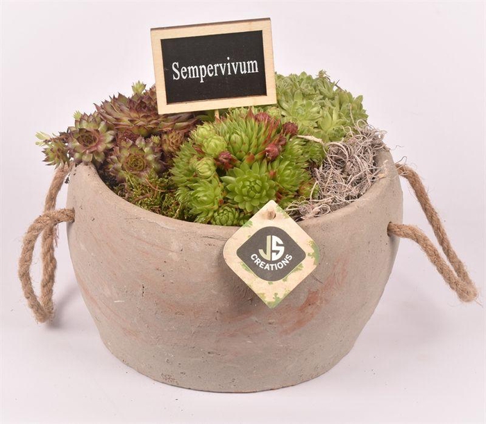 <h4>Cement pot met touw gy 20cm</h4>