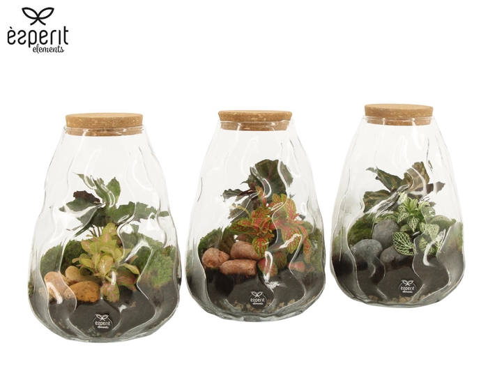 <h4>90682: Terrarium arrangement</h4>