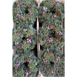 AANBIEDING. KRANS ADVENT X12