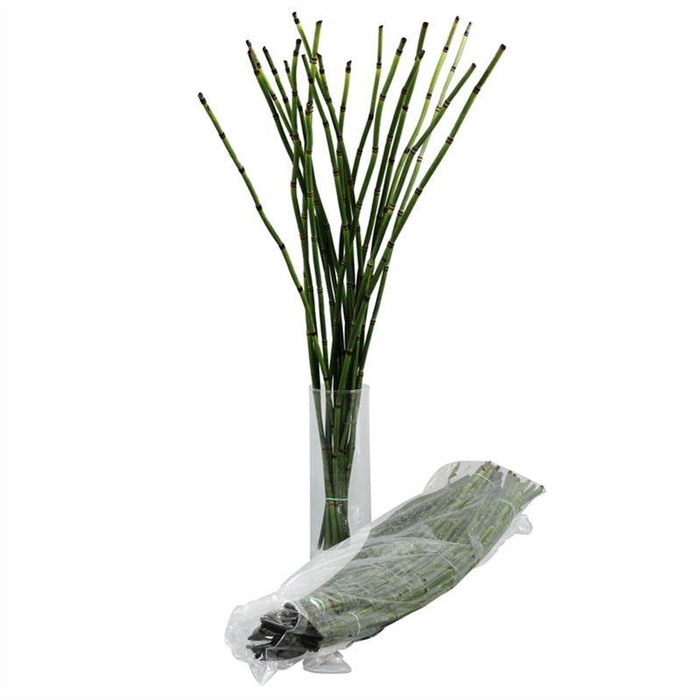 <h4>Bamboe Vacuum</h4>