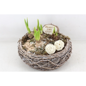 arr4 Bollenmix DT - Hout tak rond