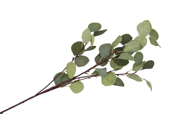Silk Eucalyptus Branch Green 17x90cm