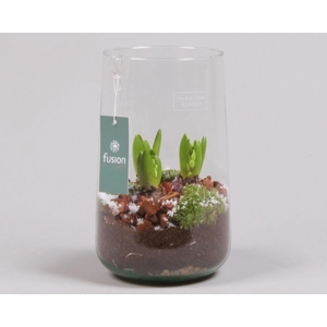 Green Bottle Deline Large Kerst met Hyacint