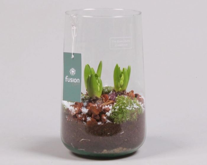 <h4>Green Bottle Deline Large Kerst met Hyacint</h4>