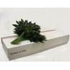 METAL ARALIA LEAVES GOLD I